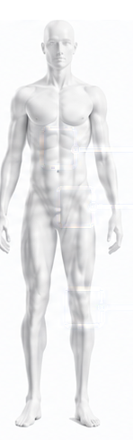 Anatomical body plate with lumbar spine, hip and knee marked